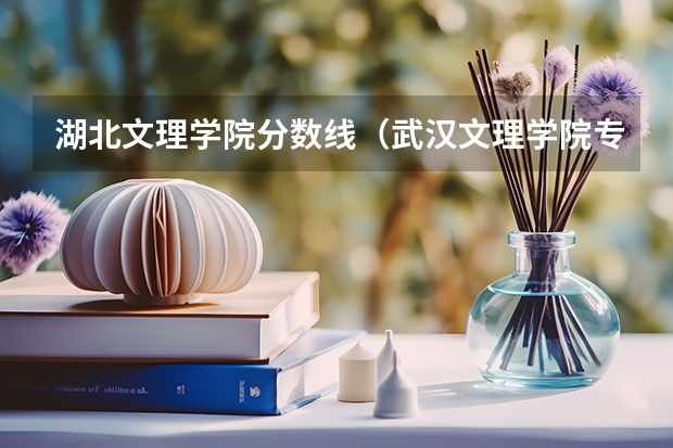 湖北文理学院分数线（武汉文理学院专升本官网分数线）
