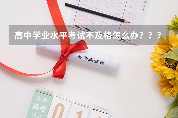 高中学业水平考试不及格怎么办？？？