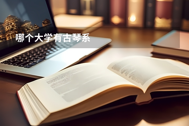哪个大学有古琴系