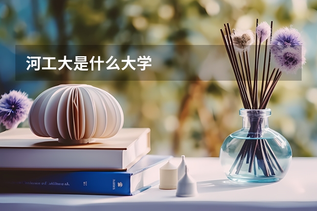 河工大是什么大学