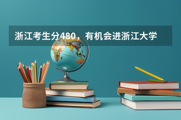 浙江考生分480，有机会进浙江大学城市学院/宁波理工吗？