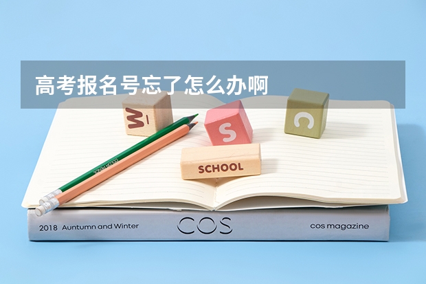 高考报名号忘了怎么办啊