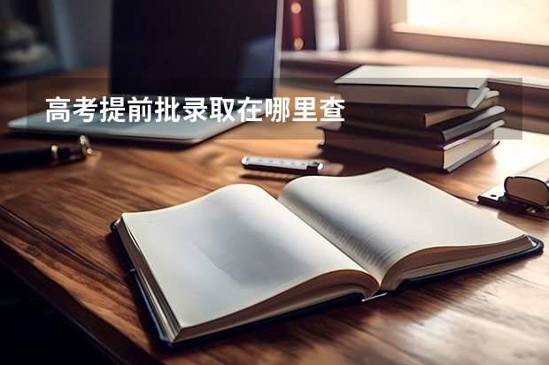 高考提前批录取在哪里查
