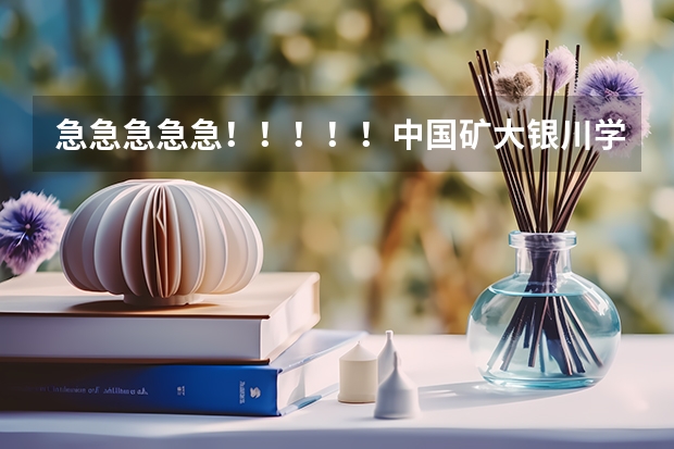急急急急急！！！！！中国矿大银川学院怎么样？值得读吗？？？