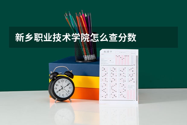 新乡职业技术学院怎么查分数