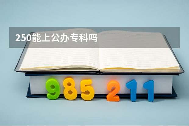 250能上公办专科吗