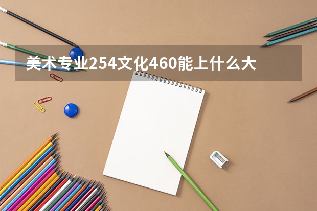 美术专业254文化460能上什么大学