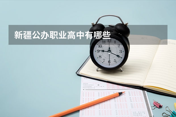 新疆公办职业高中有哪些