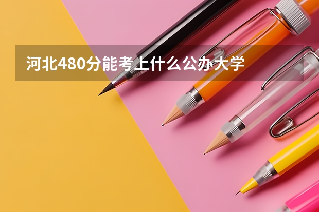 河北480分能考上什么公办大学
