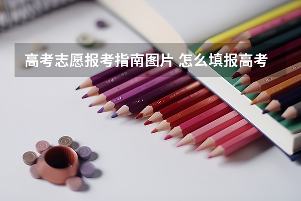 高考志愿报考指南图片 怎么填报高考志愿？