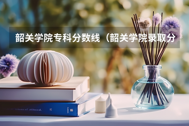韶关学院专科分数线（韶关学院录取分数线2023）