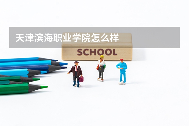 天津滨海职业学院怎么样