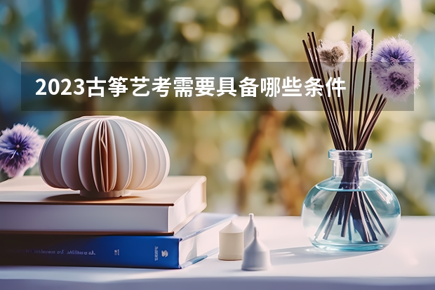 2023古筝艺考需要具备哪些条件