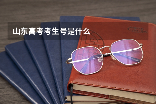 山东高考考生号是什么