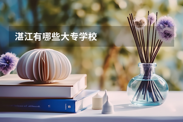 湛江有哪些大专学校