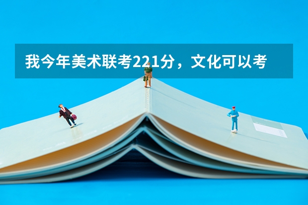 我今年美术联考221分，文化可以考到300分左右，请问省外有那些二本学校可以上（2023年红河学院各省招生计划专业人数及最低分数线位次）