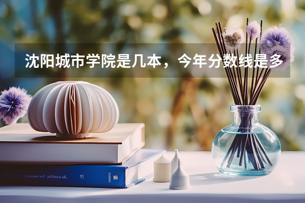 沈阳城市学院是几本，今年分数线是多少？