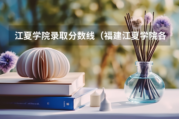 江夏学院录取分数线（福建江夏学院各省最低录取分数线及位次）