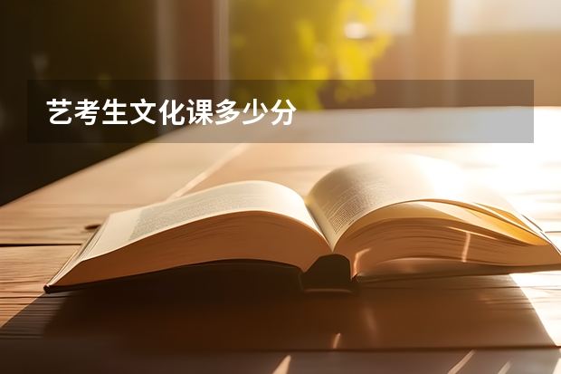 艺考生文化课多少分