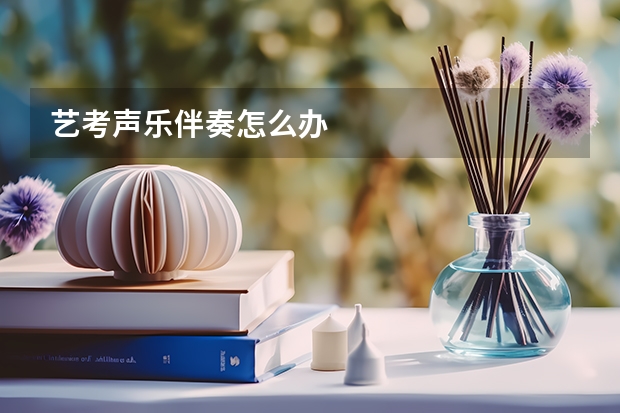 艺考声乐伴奏怎么办