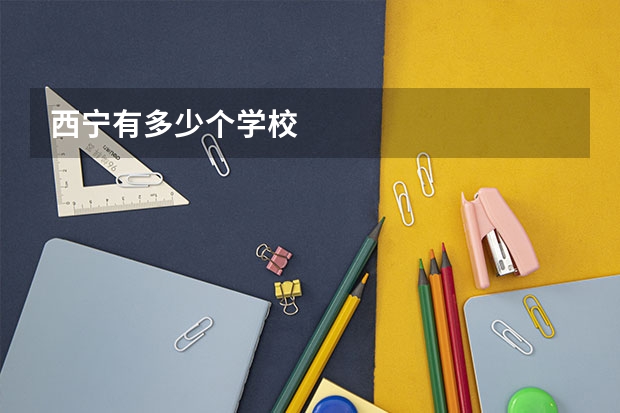 西宁有多少个学校