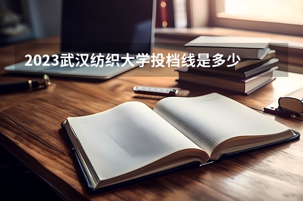2023武汉纺织大学投档线是多少