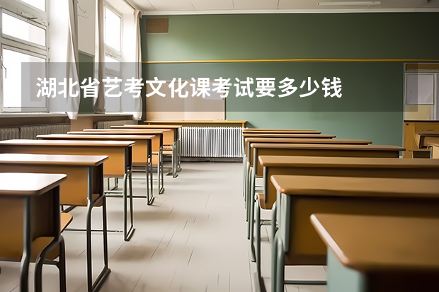 湖北省艺考文化课考试要多少钱