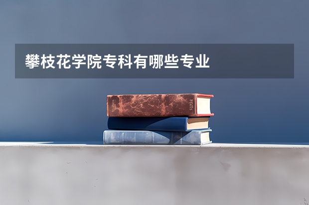 攀枝花学院专科有哪些专业