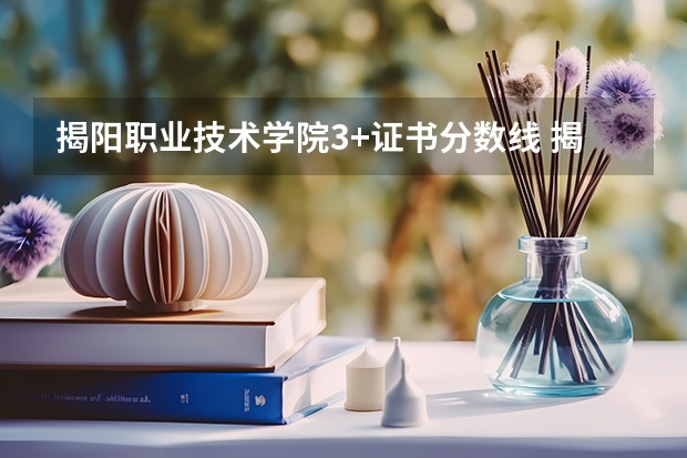 揭阳职业技术学院3+证书分数线 揭阳学院录取分数线