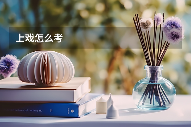 上戏怎么考