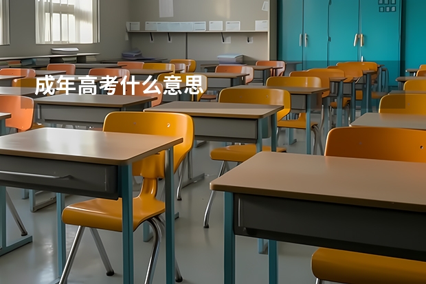 成年高考什么意思