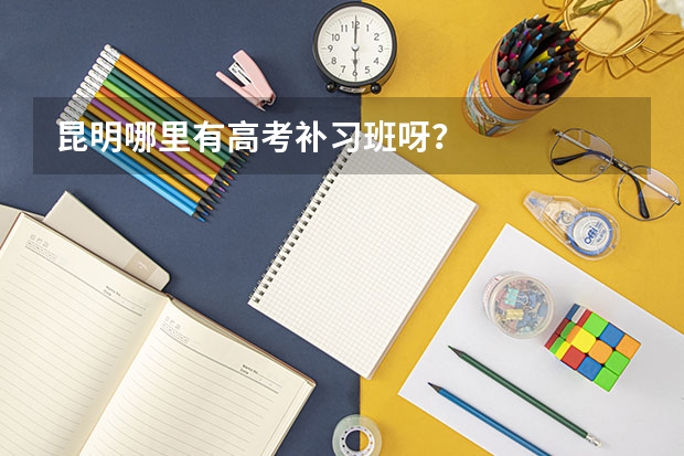 昆明哪里有高考补习班呀?