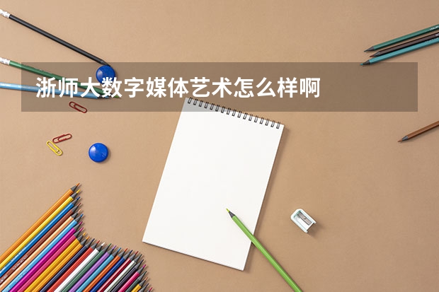 浙师大数字媒体艺术怎么样啊