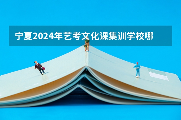 宁夏2024年艺考文化课集训学校哪里好