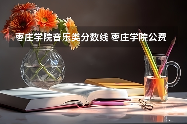枣庄学院音乐类分数线 枣庄学院公费师范生分数线