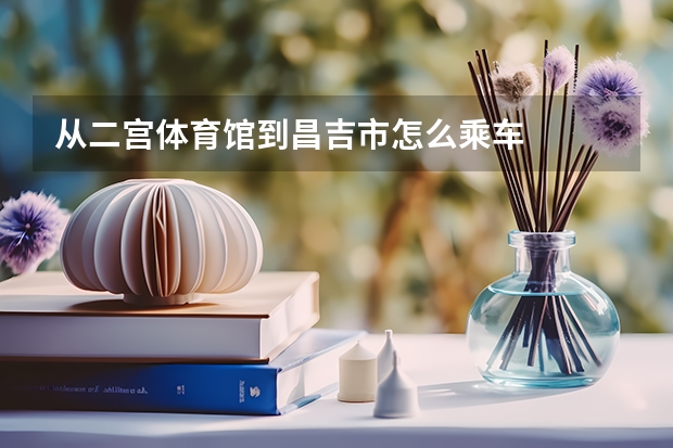从二宫体育馆到昌吉市怎么乘车