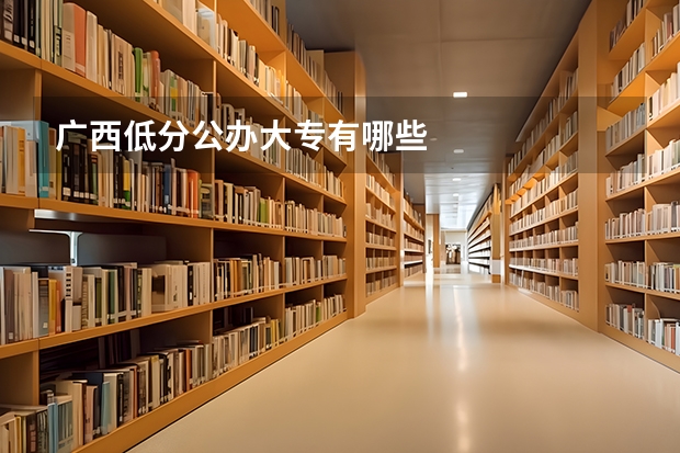 广西低分公办大专有哪些