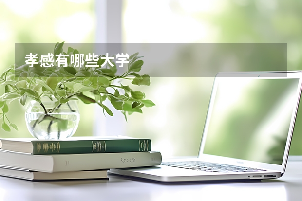 孝感有哪些大学