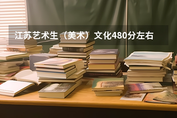 江苏艺术生（美术）文化480分左右分能上什么大学？