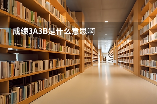 成绩3A3B是什么意思啊