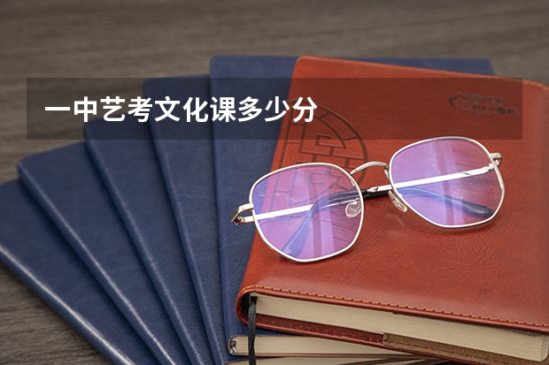一中艺考文化课多少分
