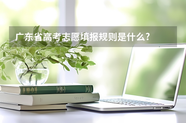 广东省高考志愿填报规则是什么?