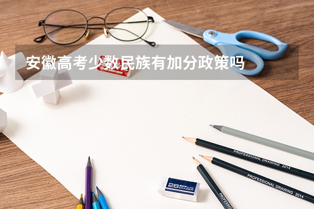 安徽高考少数民族有加分政策吗