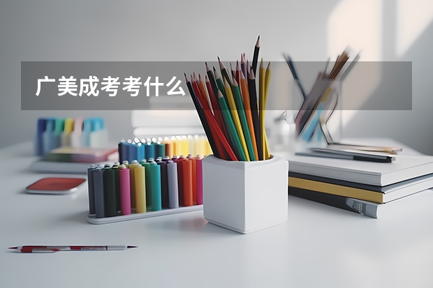 广美成考考什么