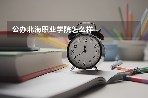 公办北海职业学院怎么样