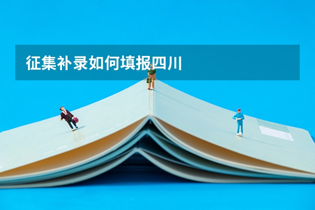 征集补录如何填报四川