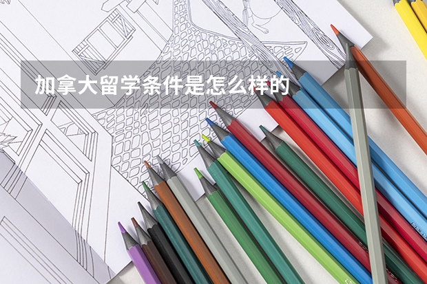 加拿大留学条件是怎么样的