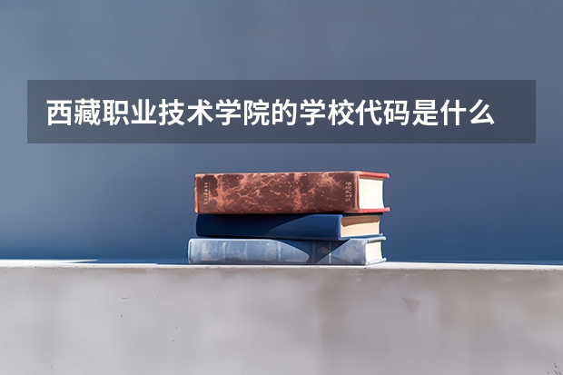 西藏职业技术学院的学校代码是什么