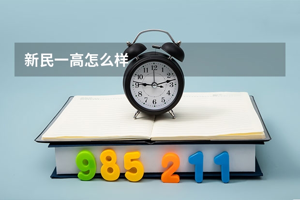新民一高怎么样
