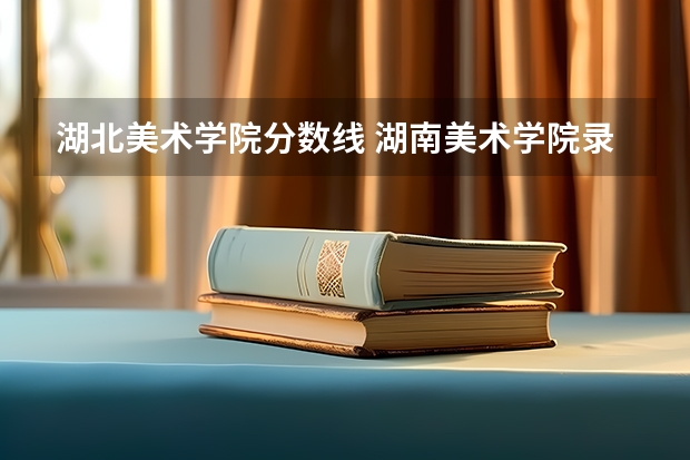 湖北美术学院分数线 湖南美术学院录取分数线